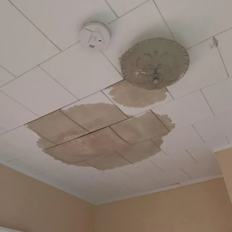Ceiling Water Damage Repair in Gentry, AR