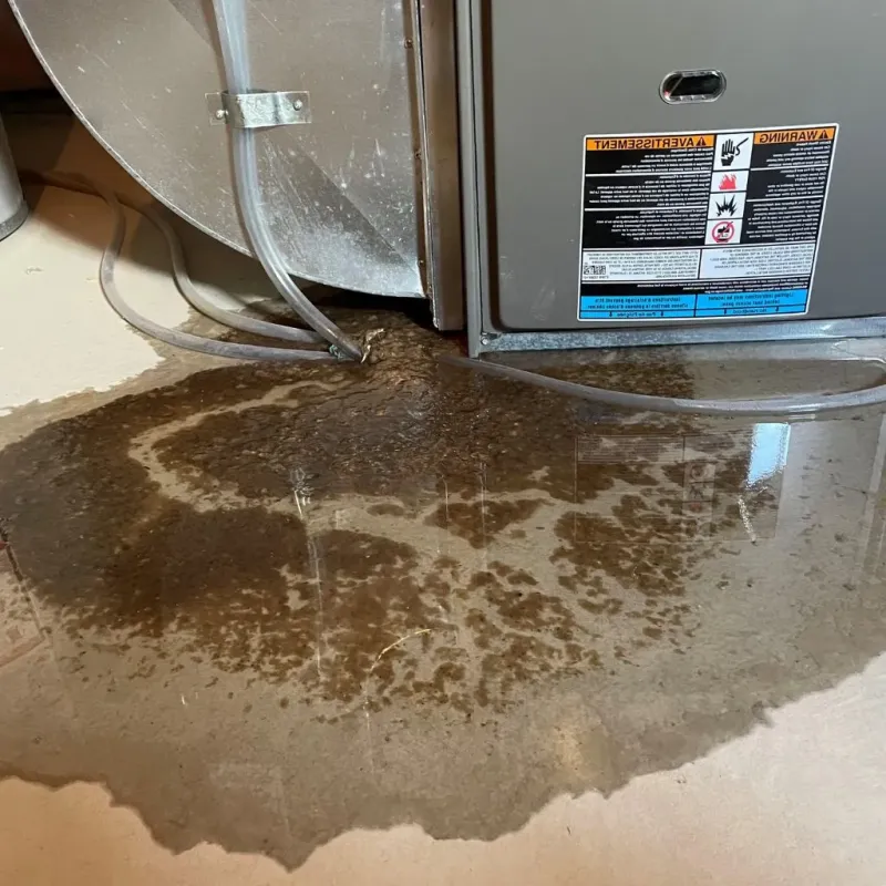 Pipe Burst and Leak Restoration in Gentry, AR
