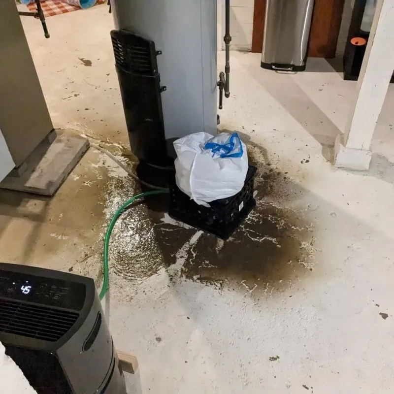 Sewage Backup Cleanup Service in Gentry, AR